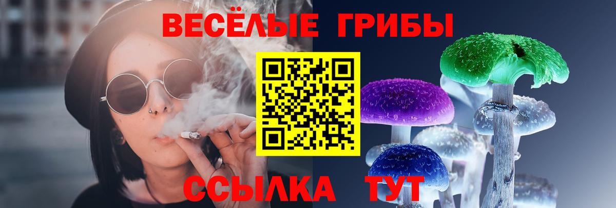 Псилоцибиновые грибы MAGIC MUSHROOMS  Псилоцибиновые грибы GOLDEN TEACHER  Вход с VPN  Муравленко 